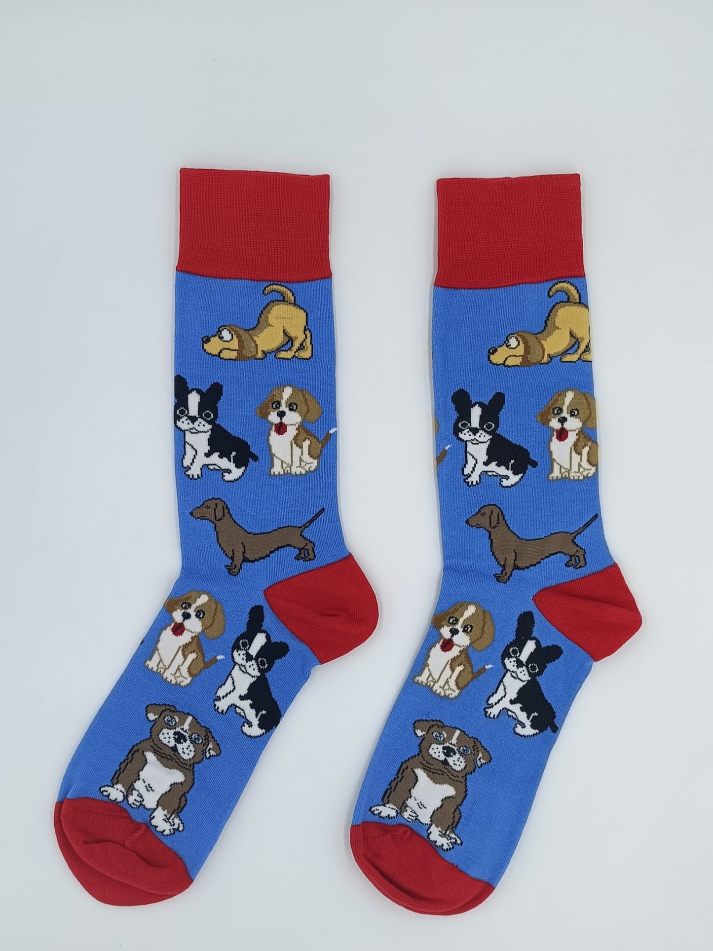 doggy themed novelty socks for sale in Australia